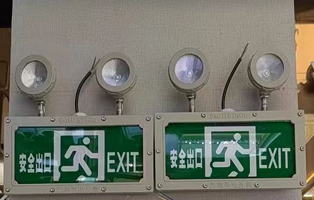 ͰȫһӦ